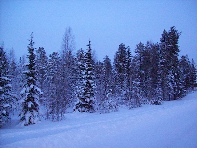 100_2488