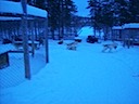 Husky Schlitten