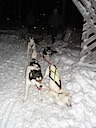 Husky Chefs