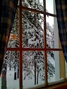 IMG_1152